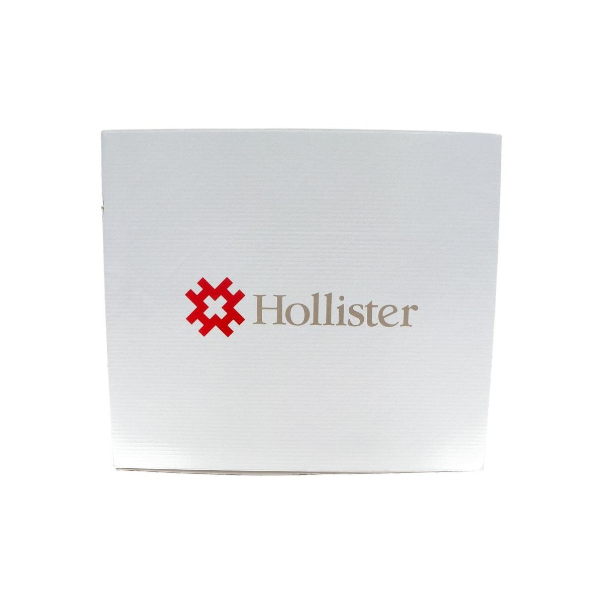 Bolsa Colec Hollister 9412 2 L 30 U